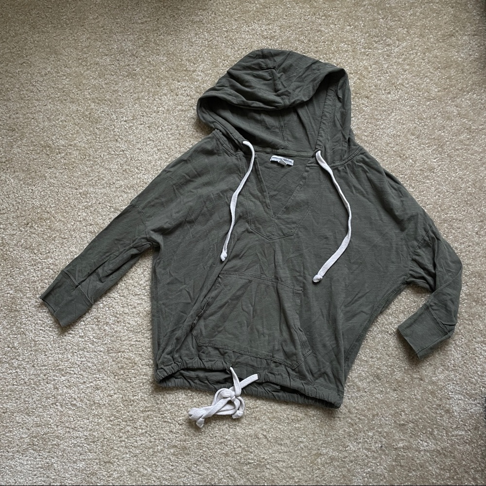 American Eagle Hoodie Crop Top